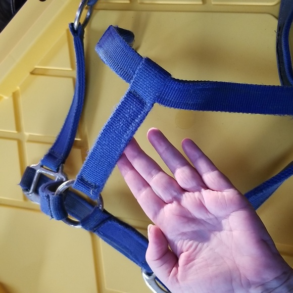 🐴ADJUSTABLE HORSE HALTER - Picture 5 of 8
